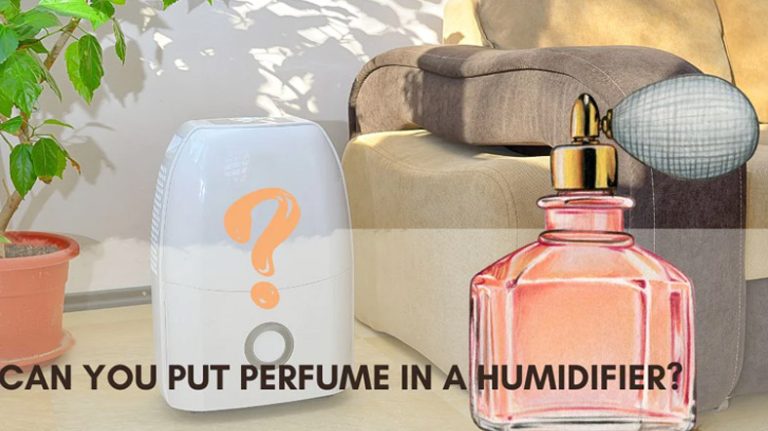 Can You Put Perfume in a Diffuser – Things You Need to Know