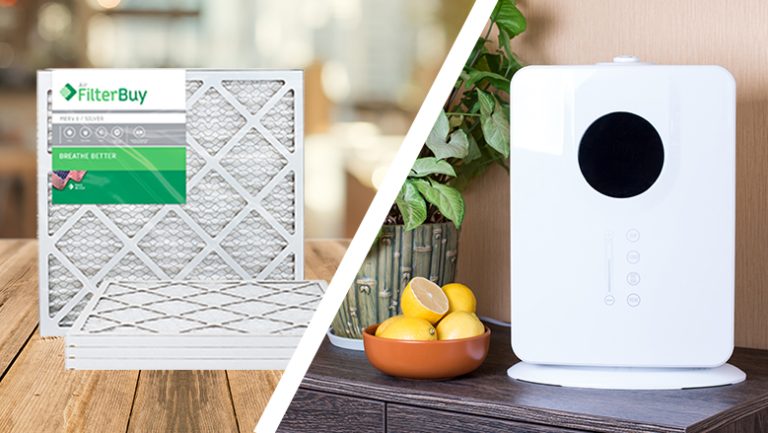 Air Purifier Vs Air Cleaner – Differences Between Them