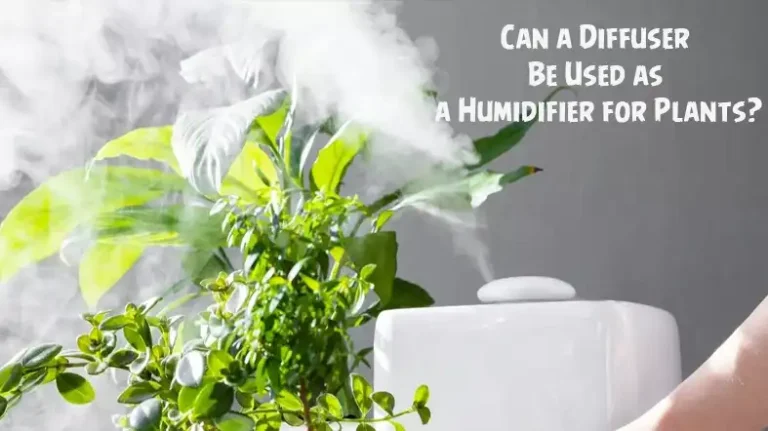 [Answered] Can a Diffuser Be Used as a Humidifier for Plants?